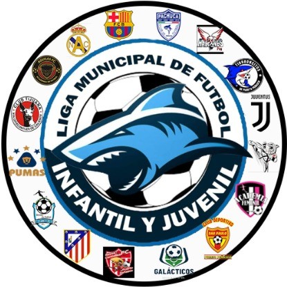 logo de la competicion