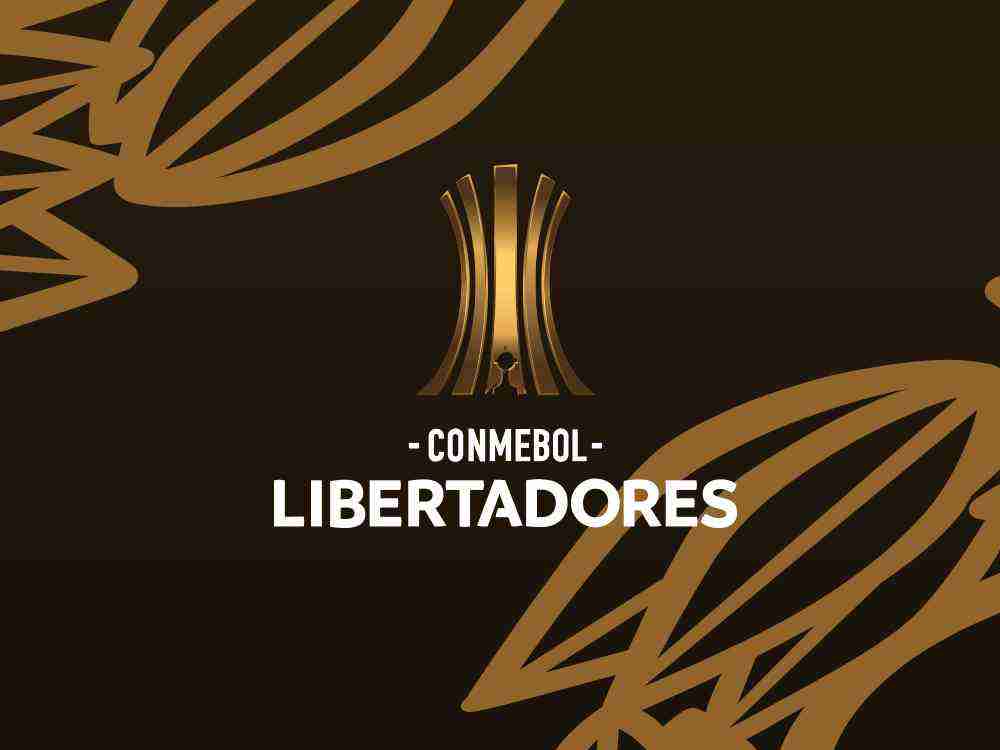 portada de competicion Libertadores Dvadi 2025 4"B"