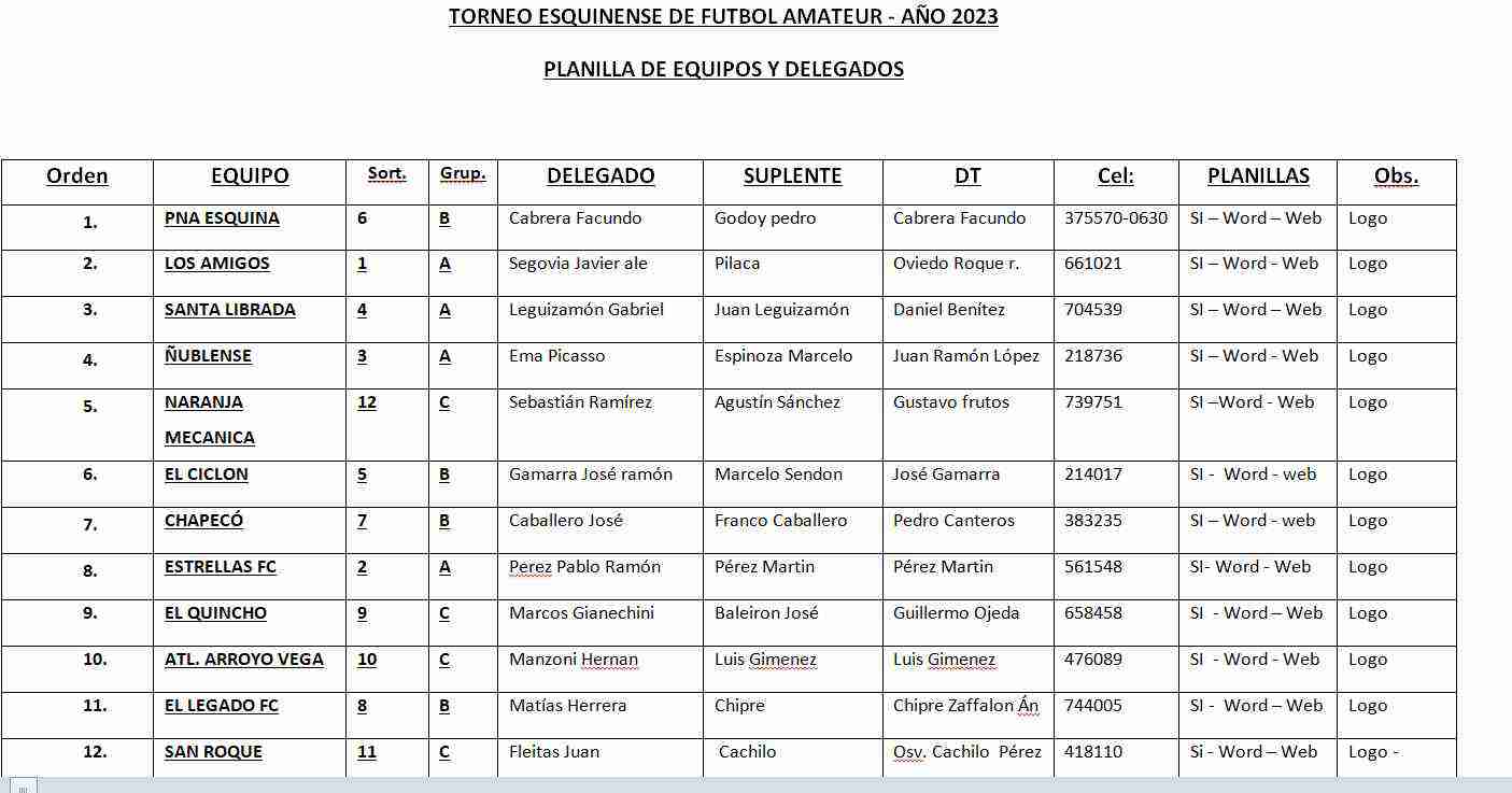 portada de competicion TORNEO ESQUINENSE DE FUTBOL AMATEUR