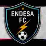 logoEndesa FC