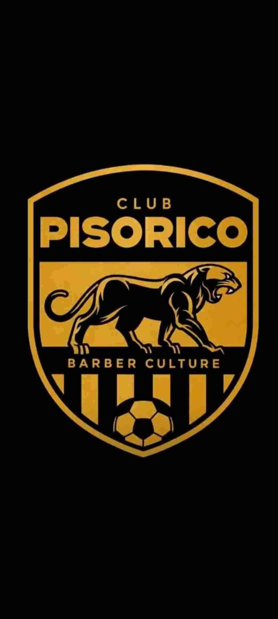 logoPisorrico