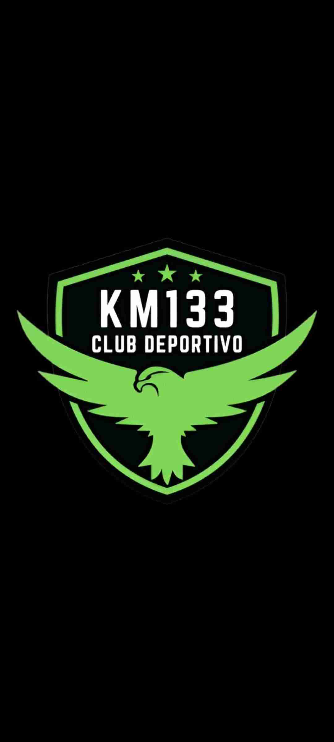 logoKM 133