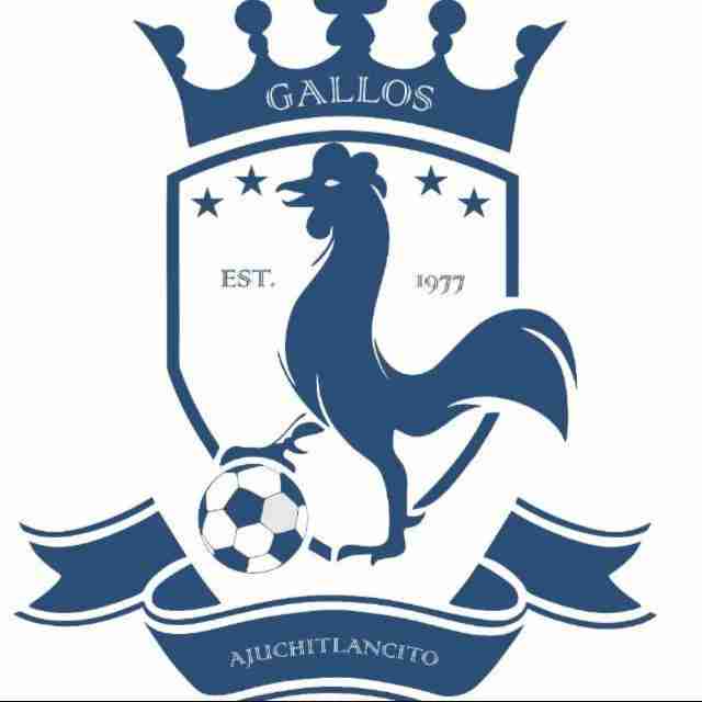 logoGallos FC