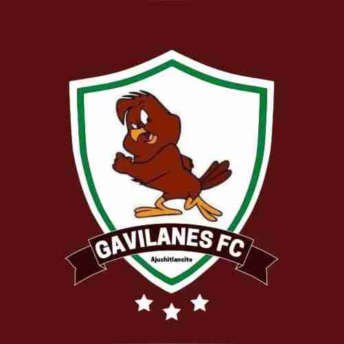 logoGavilanes FC