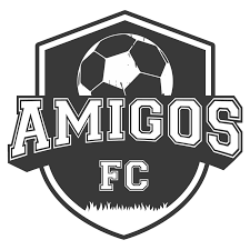 logoAMIGOS FC
