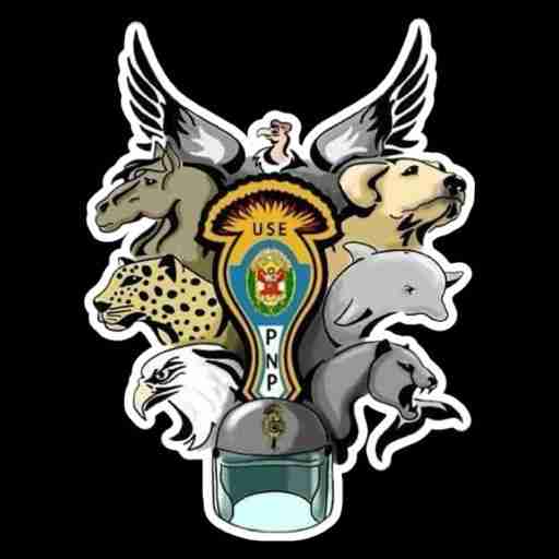 imagen equipo