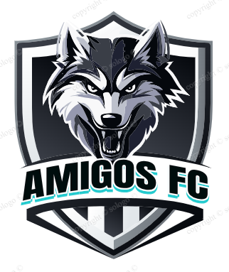 logoAmigos FC