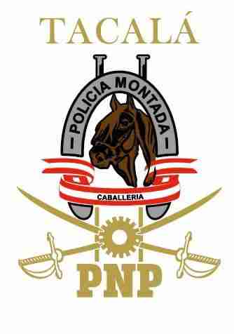 imagen equipo