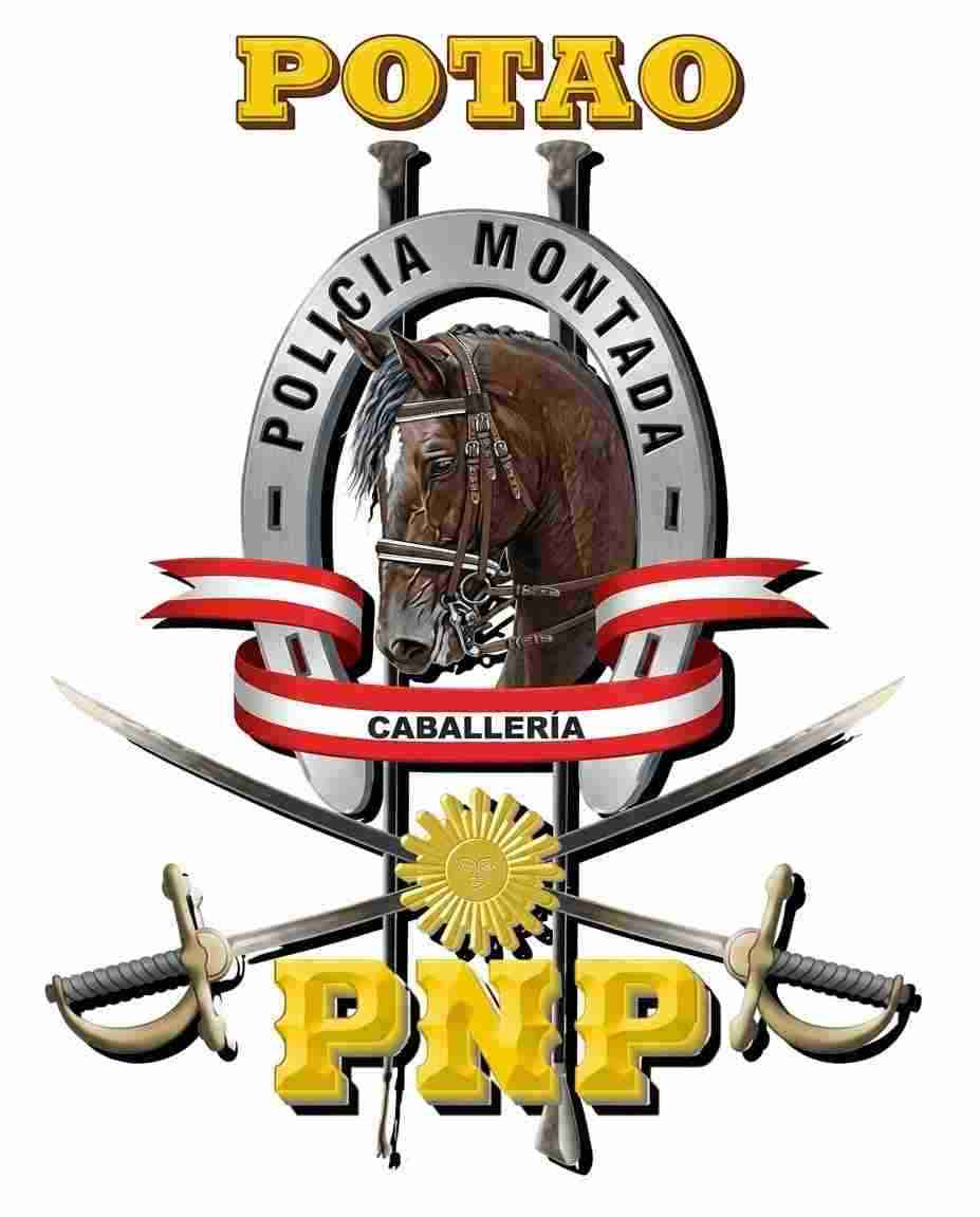imagen equipo
