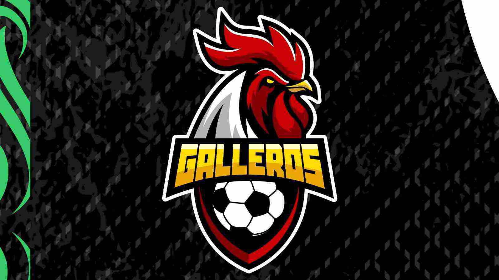 imagen equipo