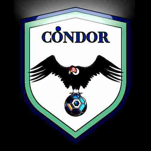 logoCÓNDOR