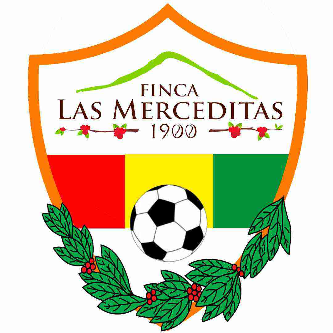 imagen equipo