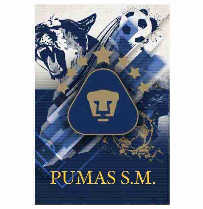 imagen equipo