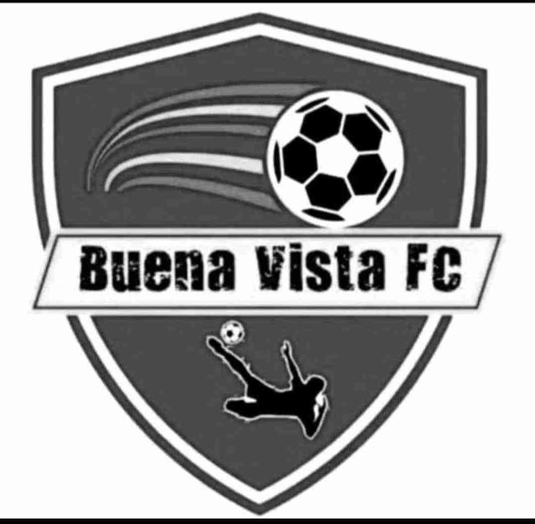 logoBUENA VISTA