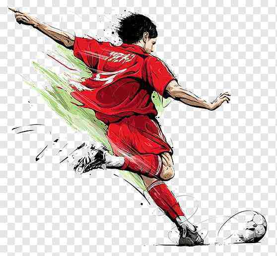 imagen de colaborador